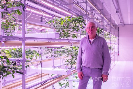 "Twice as many tomatoes than a greenhouse at 40% less cost"