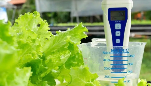 How To Use A Hydroponic Nutrient Chart