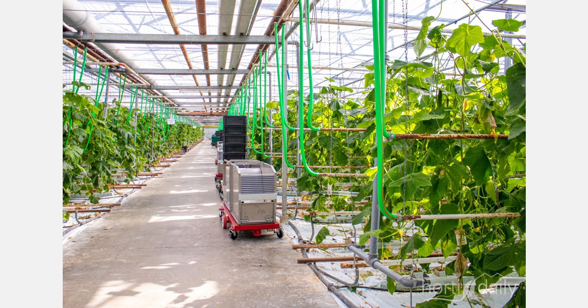 Zuid-Korea en Nederland wisselen kennis uit tijdens innovatiewerk op het gebied van energieslimme tuinbouw