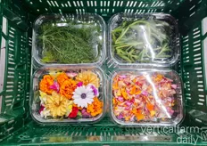 Collaborating with other local (outdoor) producers, MicroFlavours offers edible flowers, algae, samphire, and more