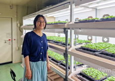 Dr. Eri Hayashi pictured in the seedling facility 