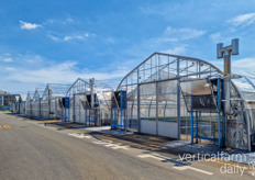 Ongoing trials with plants, fruit trees, and other crops on-campus by the Chiba University 