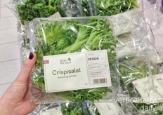 Crispisalat in-store, sold in October for around $2,30